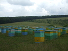 DSCF2704
