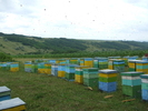 DSCF2706