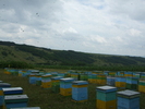 DSCF2707
