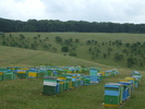 DSCF2708