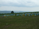 DSCF2709