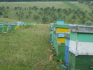DSCF2710