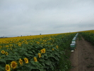 DSCF2714