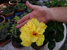 DSC04455