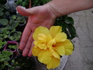 DSC04456
