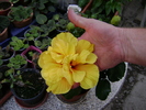 DSC04457