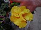 DSC04458
