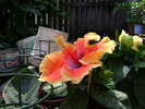 DSC04491