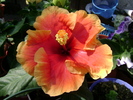 DSC04482
