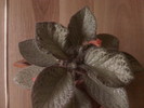 Photo00227