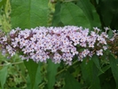 P7150100