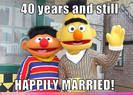 celebrity-pictures-ernie-bert-happily-married