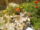 DSC00757