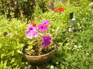 DSC00759