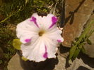 DSC00760
