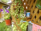 DSC00764