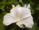 DSC00765
