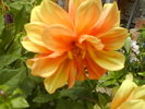 DSC00766