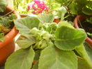 DSC00770