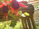 DSC00772