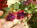 DSC00773