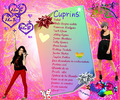 cuprins