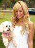 Ashley Tisdale si catelul ei