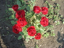 DSC05765