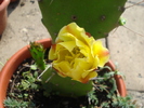 DSC05771