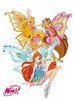 winx[1]