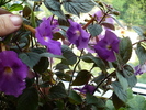 P1280875