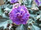 P1280895