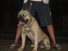 pasa 2