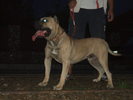 pasa 2