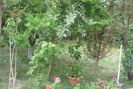 18 iulie 2010