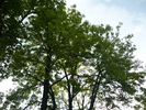 P1020585 IN PARC