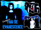 loveevanescence