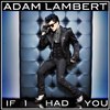 Adam-Lambert-If-I-Had-You-Official-Single-Cover