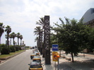 DSC06135