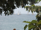 DSC06151