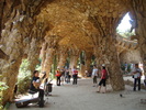 DSC06279