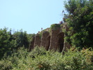 DSC06289