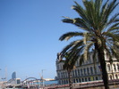 DSC06362