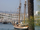 DSC06372