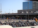 DSC06419