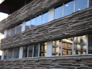DSC06438