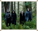 Volturi