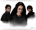 Volturi