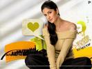 Katrina-Kaif-katrina-kaif-6433193-564-423