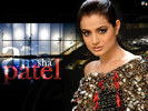 amisha-patel-wallpapers_3137_1024